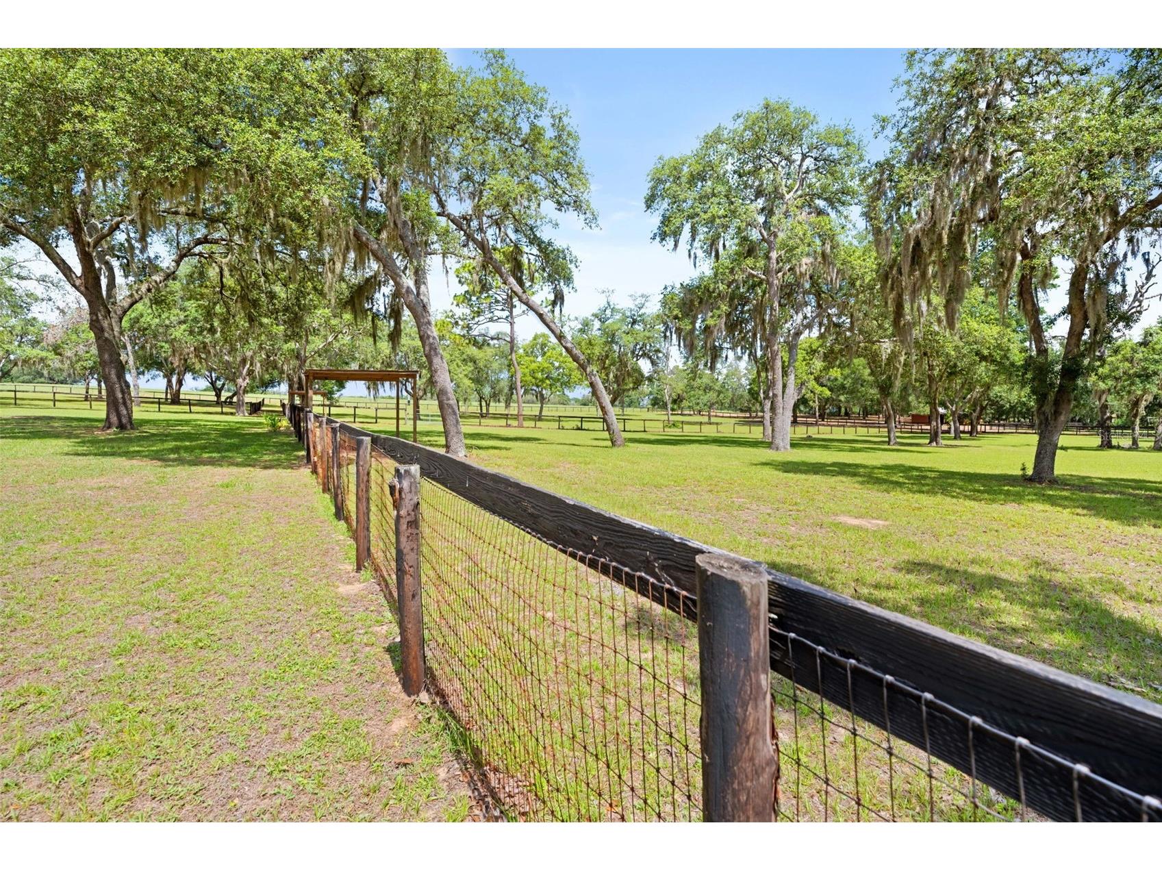 19509 Paso Fino Way Dade City FL 33523 W7886224 image20
