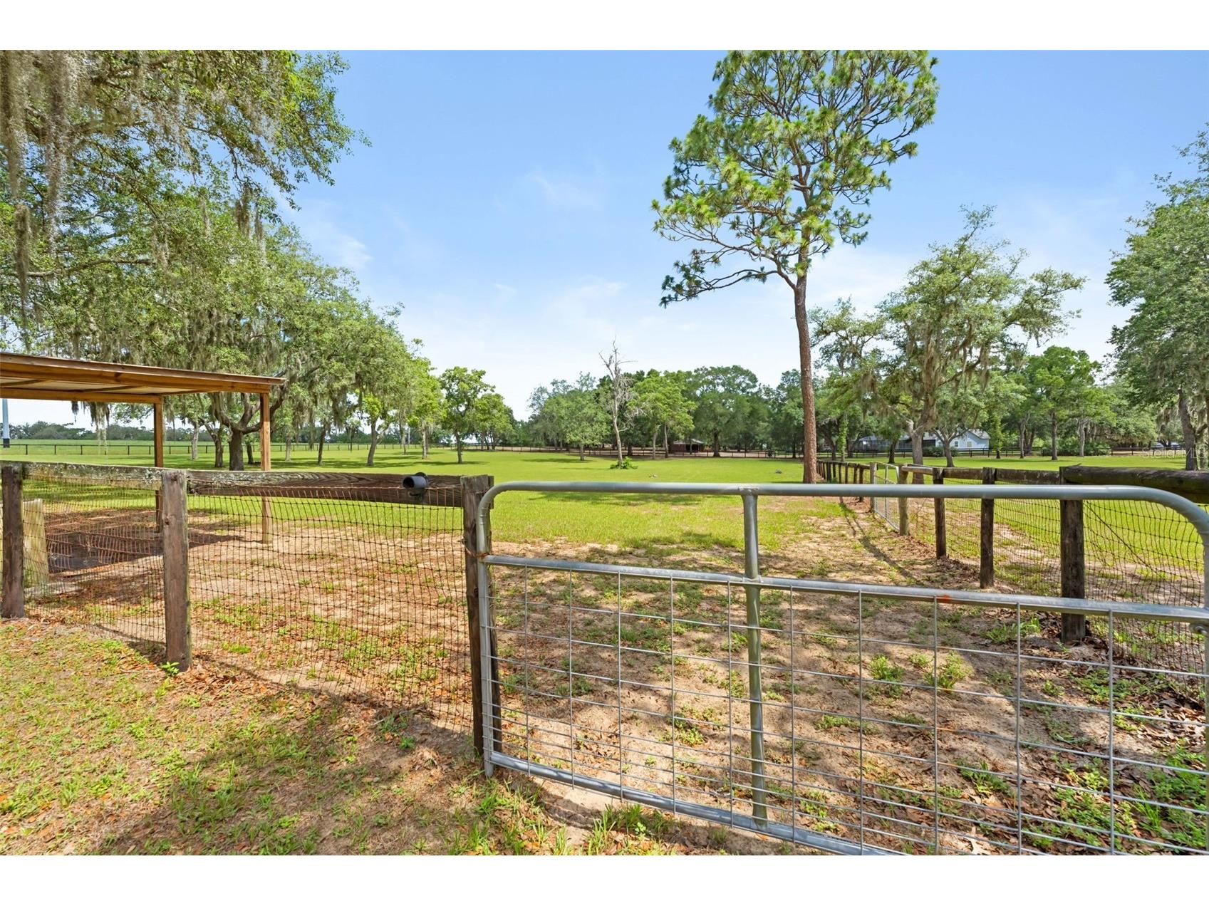 19509 Paso Fino Way Dade City FL 33523 W7886224 image21