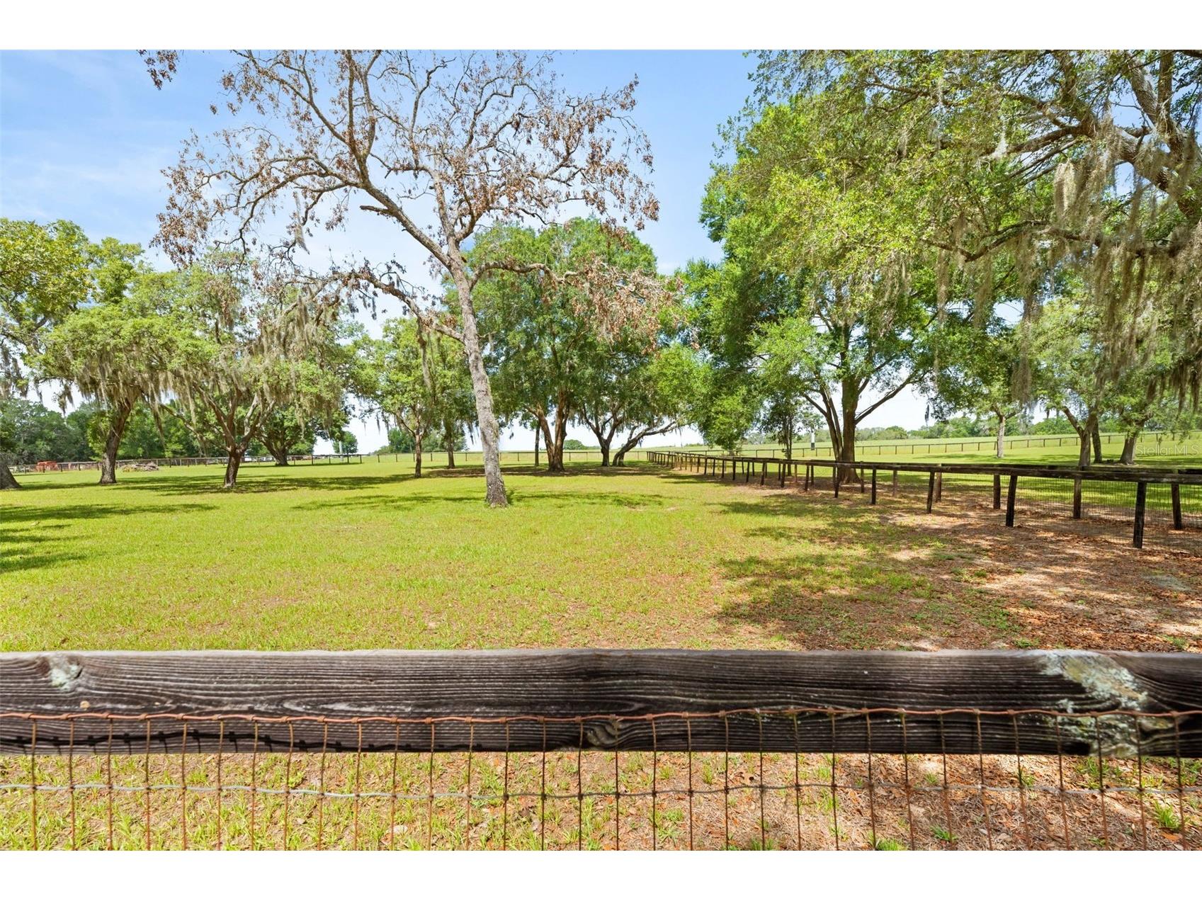 19509 Paso Fino Way Dade City FL 33523 W7886224 image24