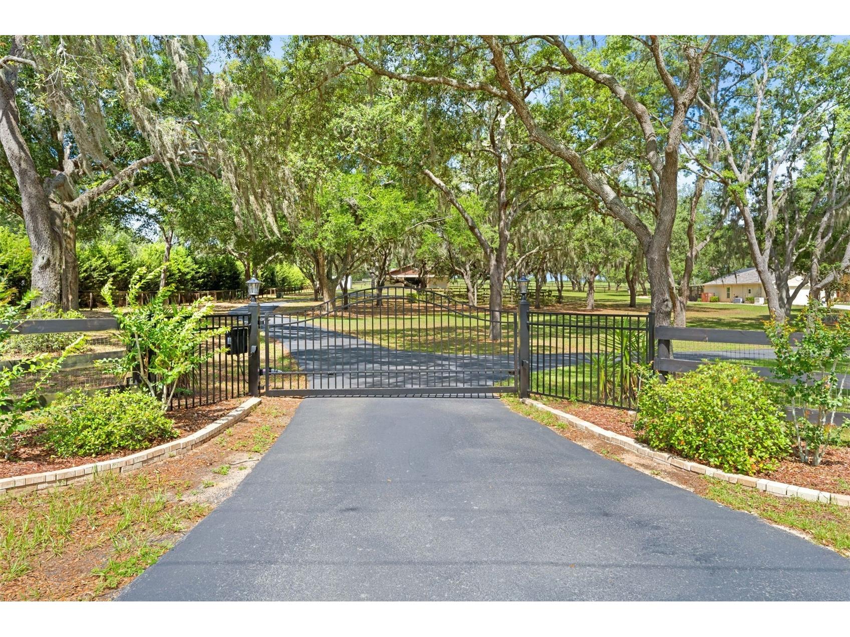 19509 Paso Fino Way Dade City FL 33523 W7886224 image3