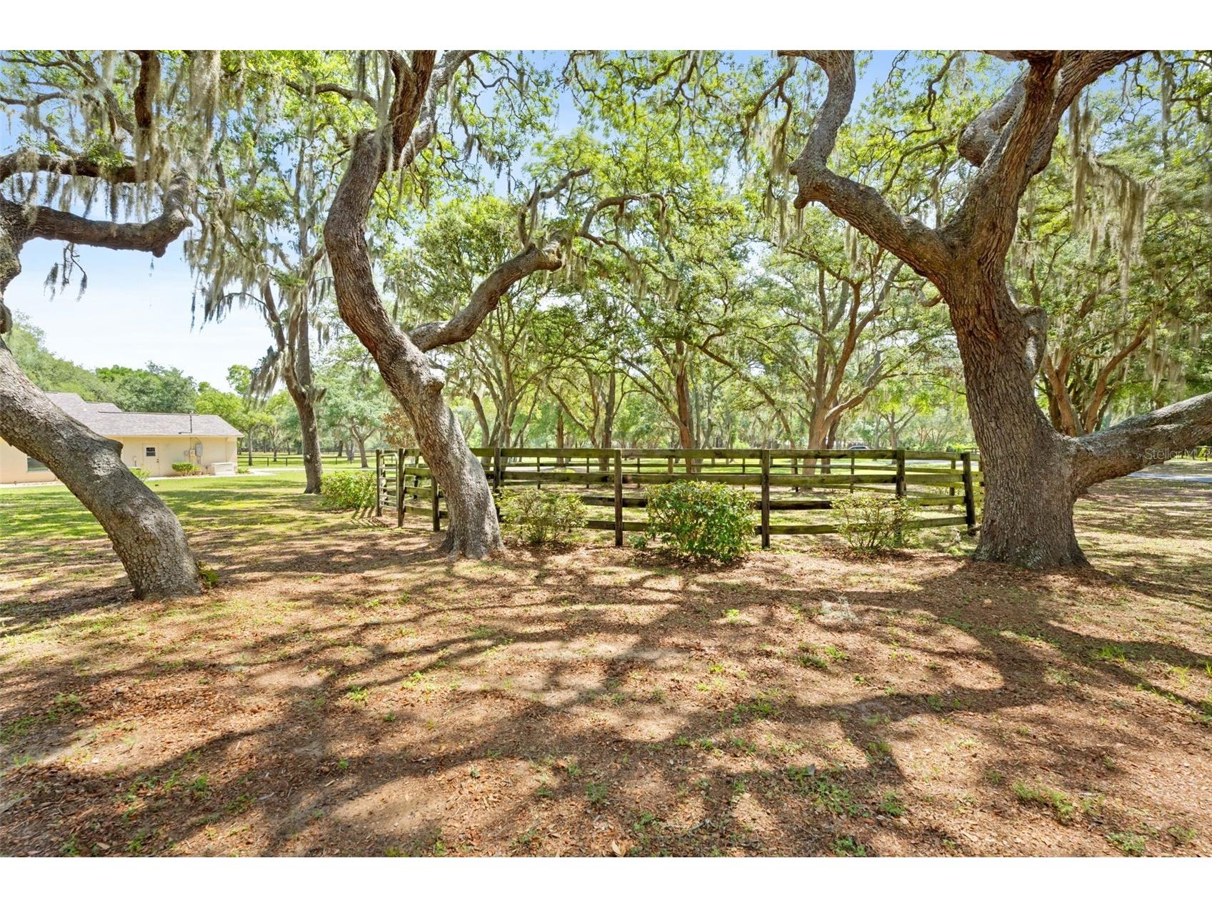 19509 Paso Fino Way Dade City FL 33523 W7886224 image34
