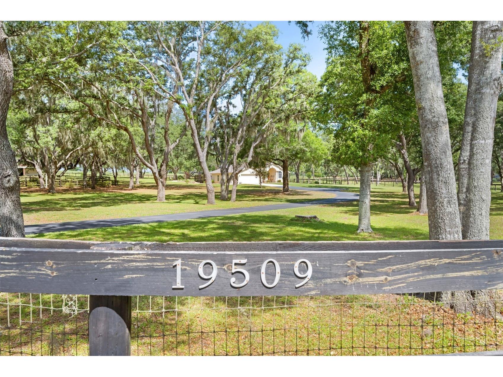 19509 Paso Fino Way Dade City FL 33523 W7886224 image4