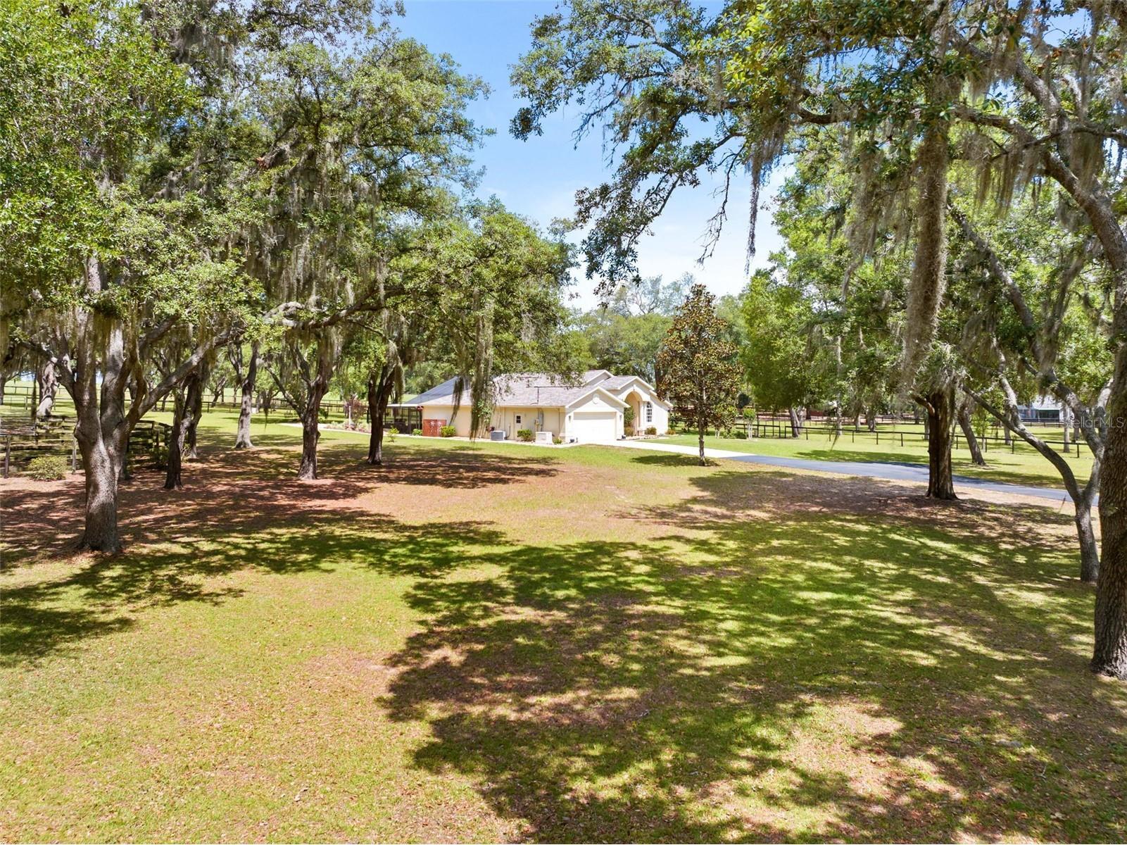 19509 Paso Fino Way Dade City FL 33523 W7886224 image5