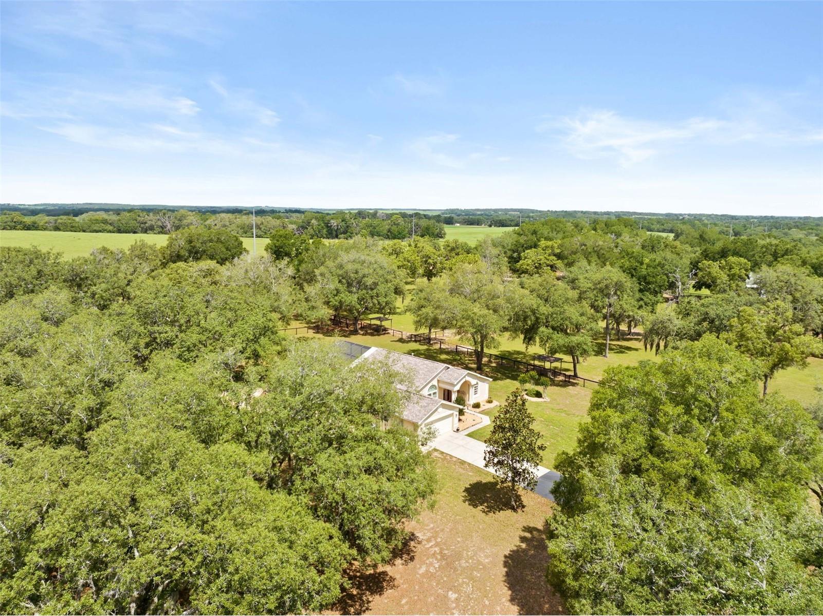 19509 Paso Fino Way Dade City FL 33523 W7886224 image6