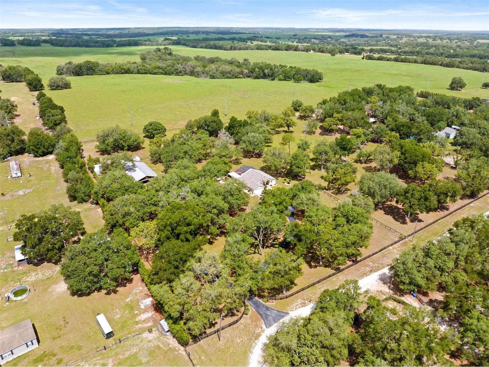 19509 Paso Fino Way Dade City FL 33523 W7886224 image7