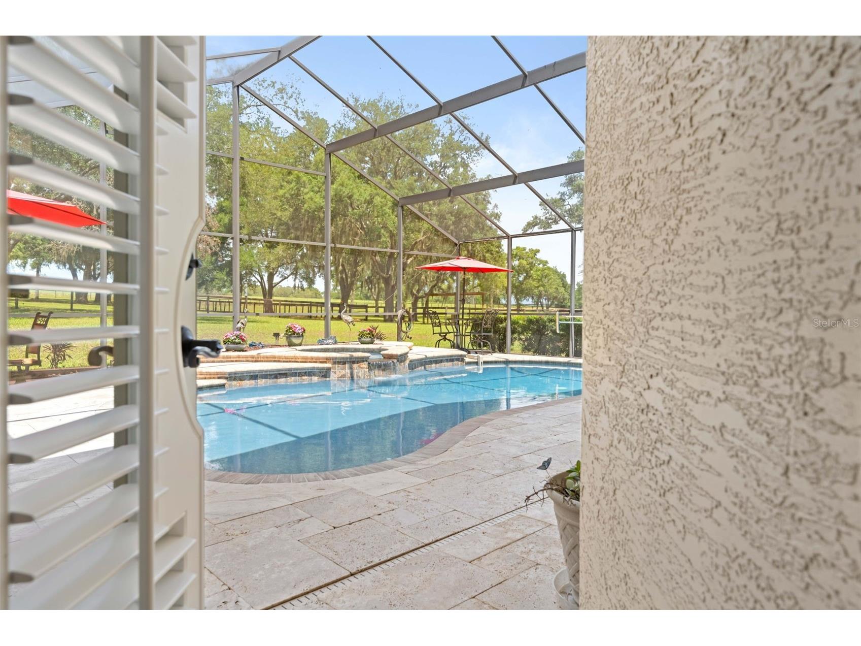 19509 Paso Fino Way Dade City FL 33523 W7886224 image71