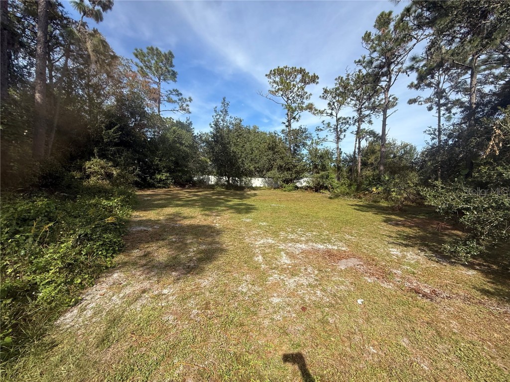 19509 Sheldon Street Orlando FL 32833 O6359481 image44