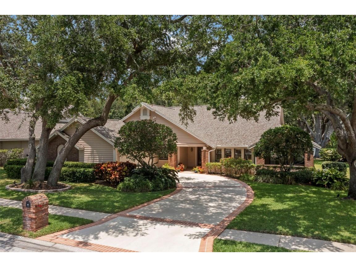 1951 Downing Place Palm Harbor FL 34683 TB8384512 image1