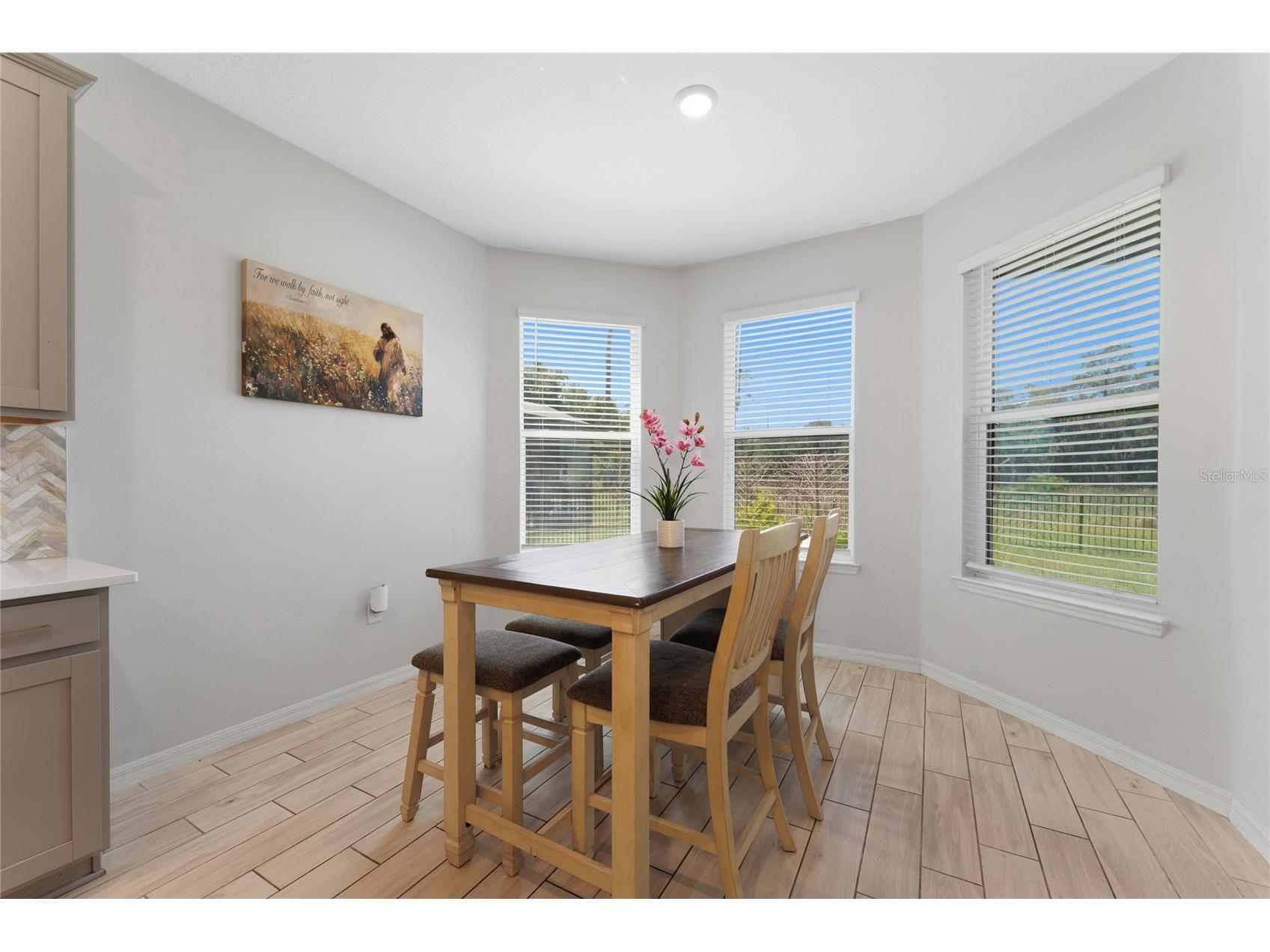 1951 Goblet Cove Street Kissimmee FL 34746 S5147189 image22