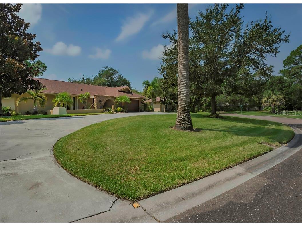 1951 Horse Shoe Bend Road Dunedin FL 34698 T3548138 image1