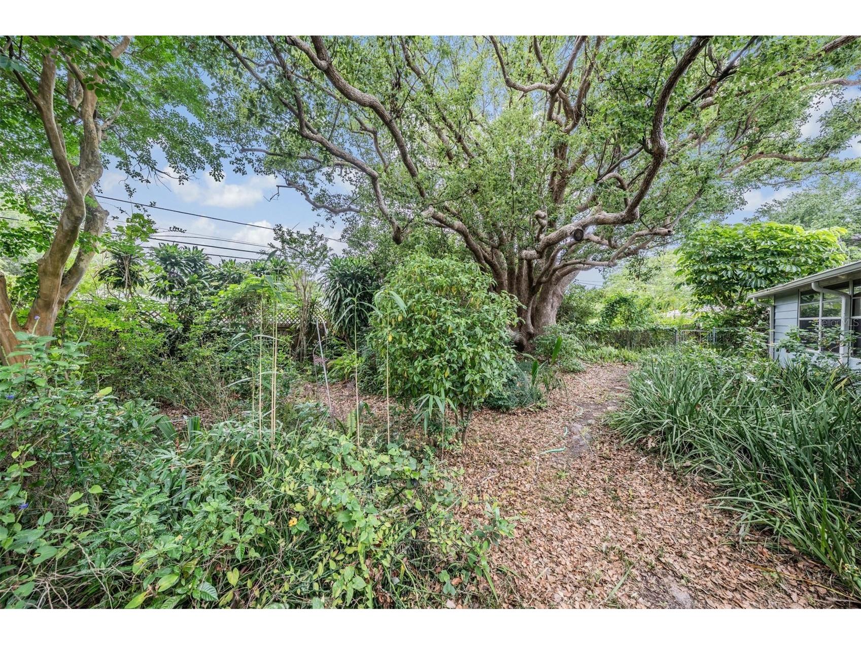 1951 Jeffords Street Clearwater FL 33764 TB8508662 image26
