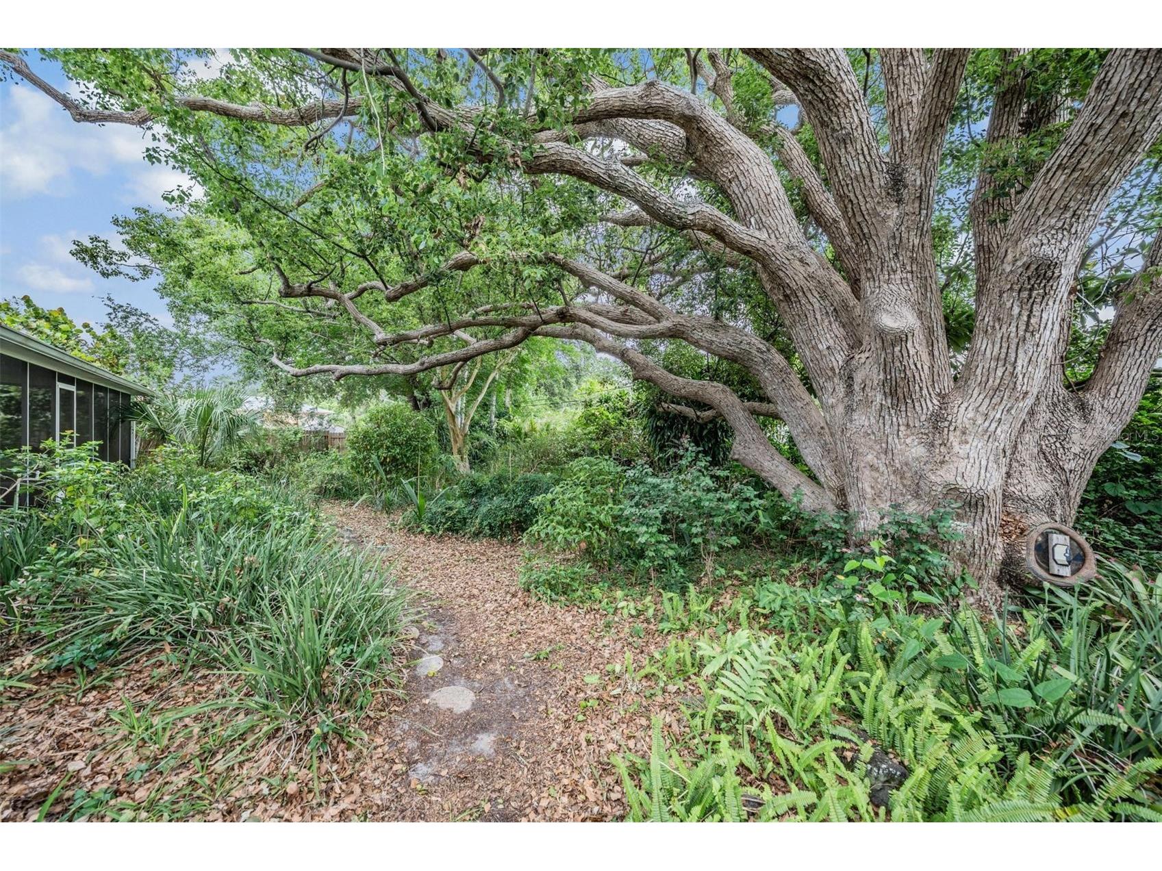 1951 Jeffords Street Clearwater FL 33764 TB8508662 image27