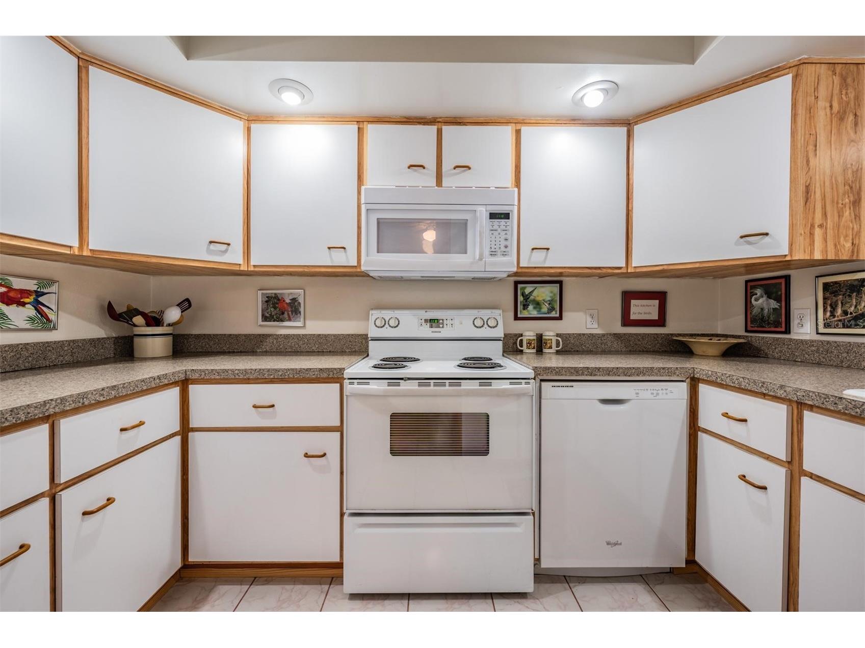 1951 Jeffords Street Clearwater FL 33764 TB8508662 image5