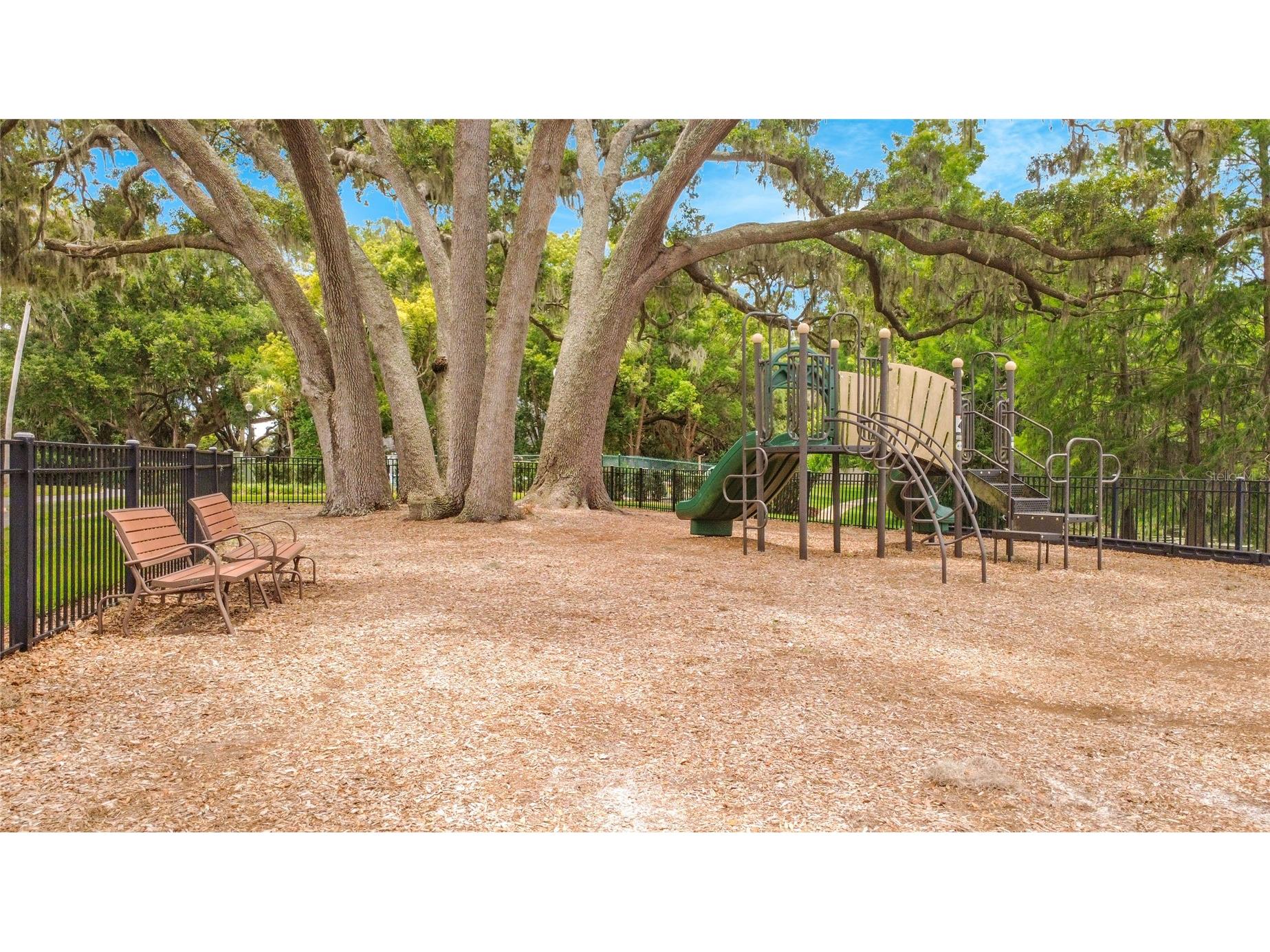 19512 Spring Oak Drive Eustis FL 32736 G5113555 image66
