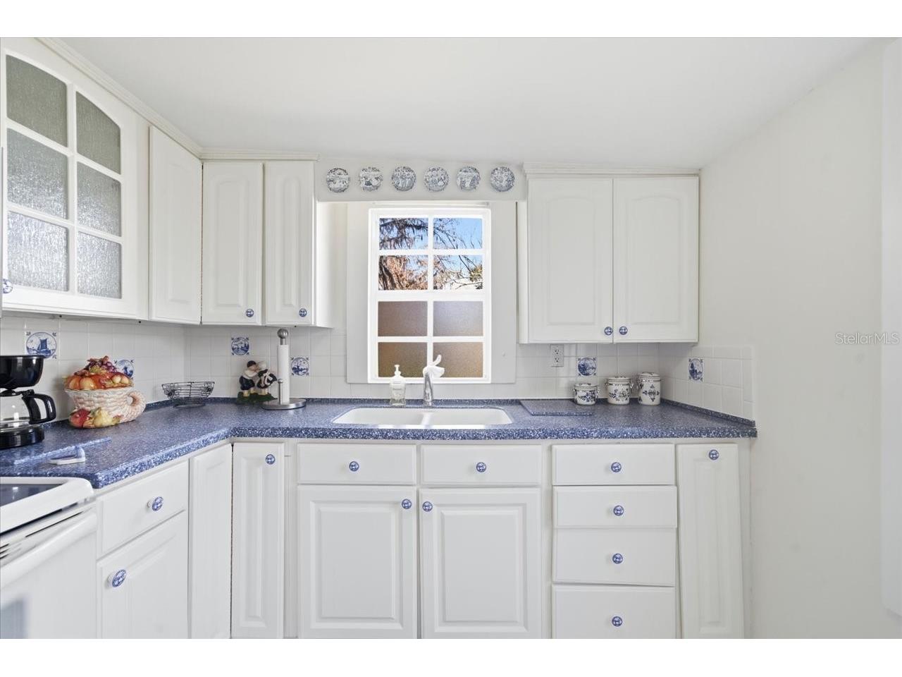 19513 Deer Lake Road Lutz FL 33548 - HOBBS TB8479553 image13