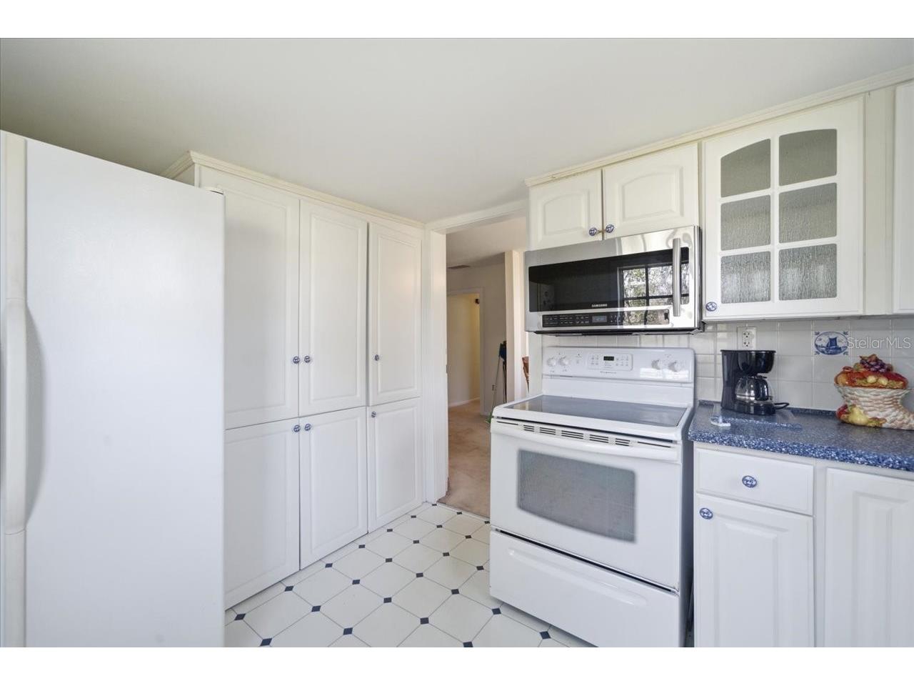 19513 Deer Lake Road Lutz FL 33548 - HOBBS TB8479553 image15