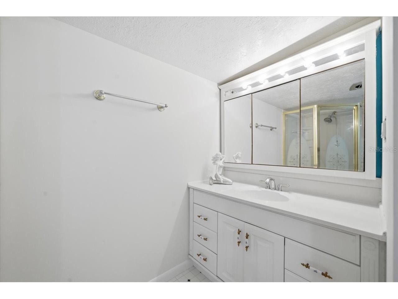 19513 Deer Lake Road Lutz FL 33548 - HOBBS TB8479553 image20