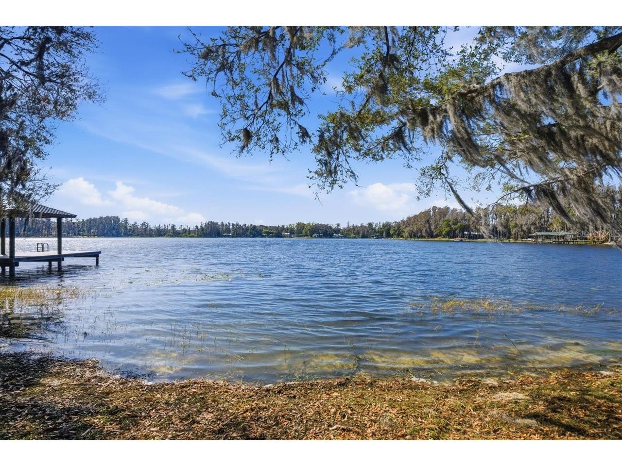 19513 Deer Lake Road Lutz FL 33548 - HOBBS TB8479553 image26