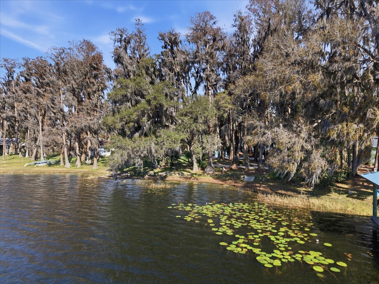 19513 Deer Lake Road Lutz FL 33548 - HOBBS TB8479553 image29