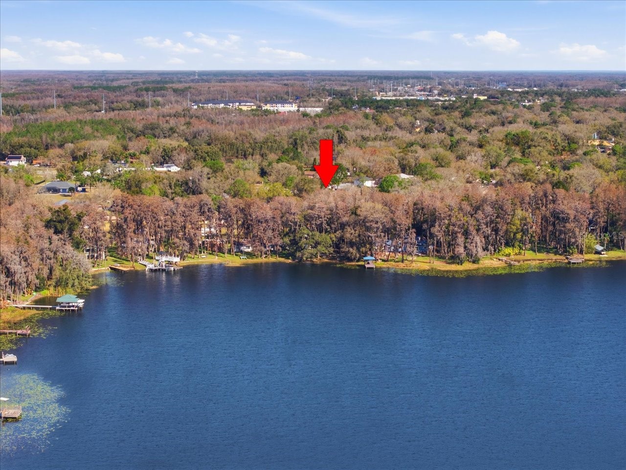 19513 Deer Lake Road Lutz FL 33548 - HOBBS TB8479553 image35