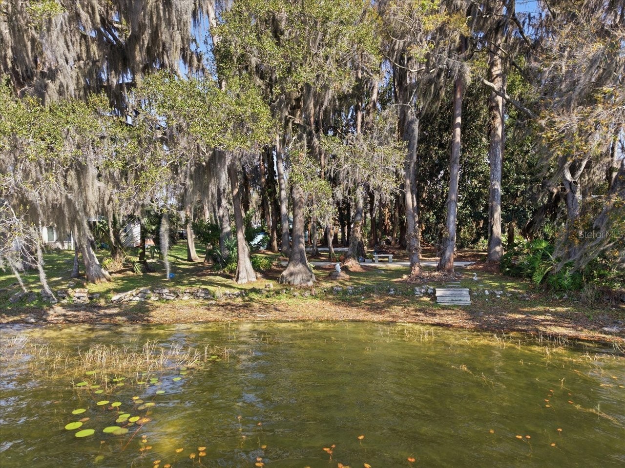 19513 Deer Lake Road Lutz FL 33548 - HOBBS TB8479553 image5