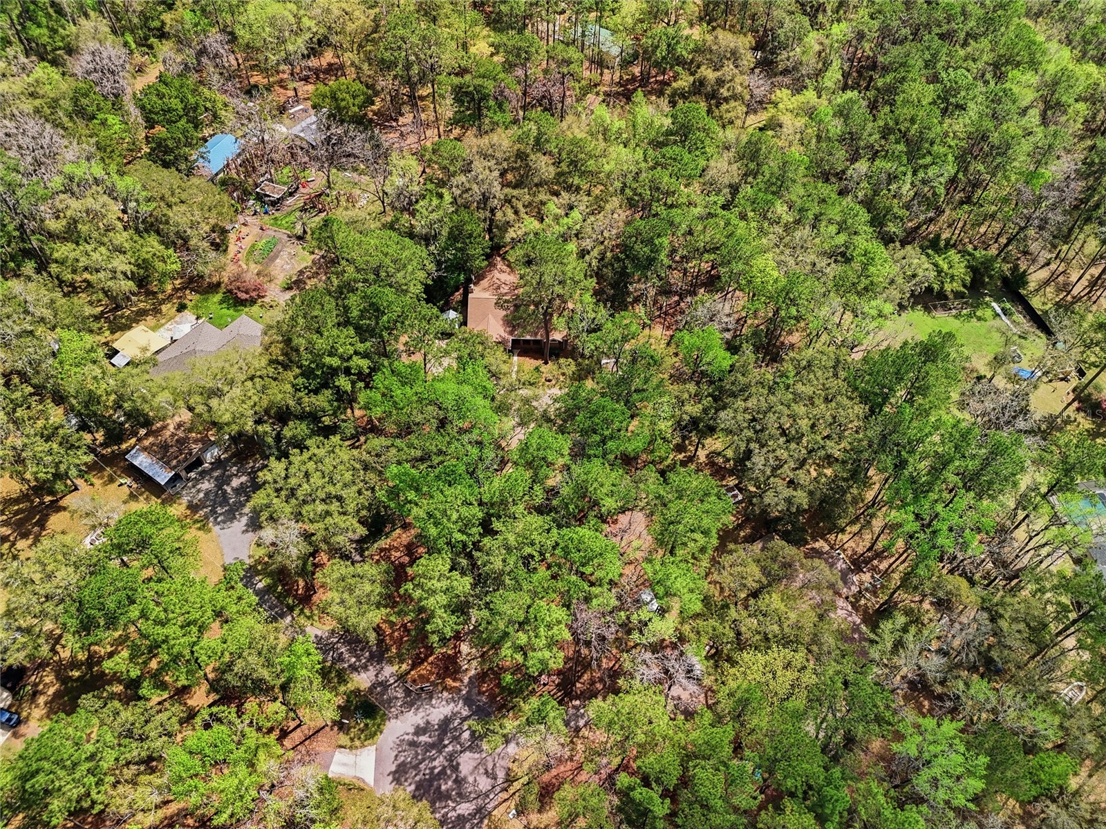 19513 NW 240th Lane High Springs FL 32643 GC538292 image34