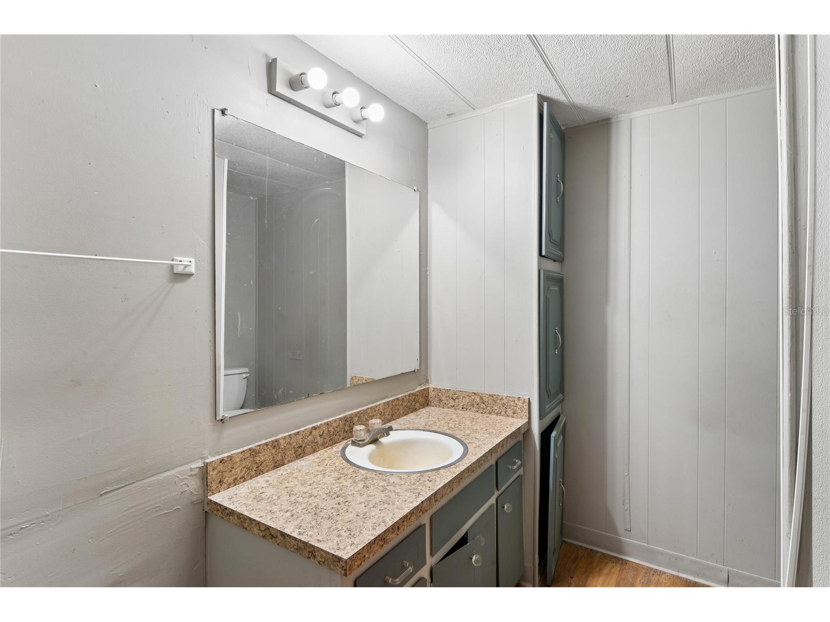 19514 Anton Road Land O Lakes FL 34638 W7887234 image13