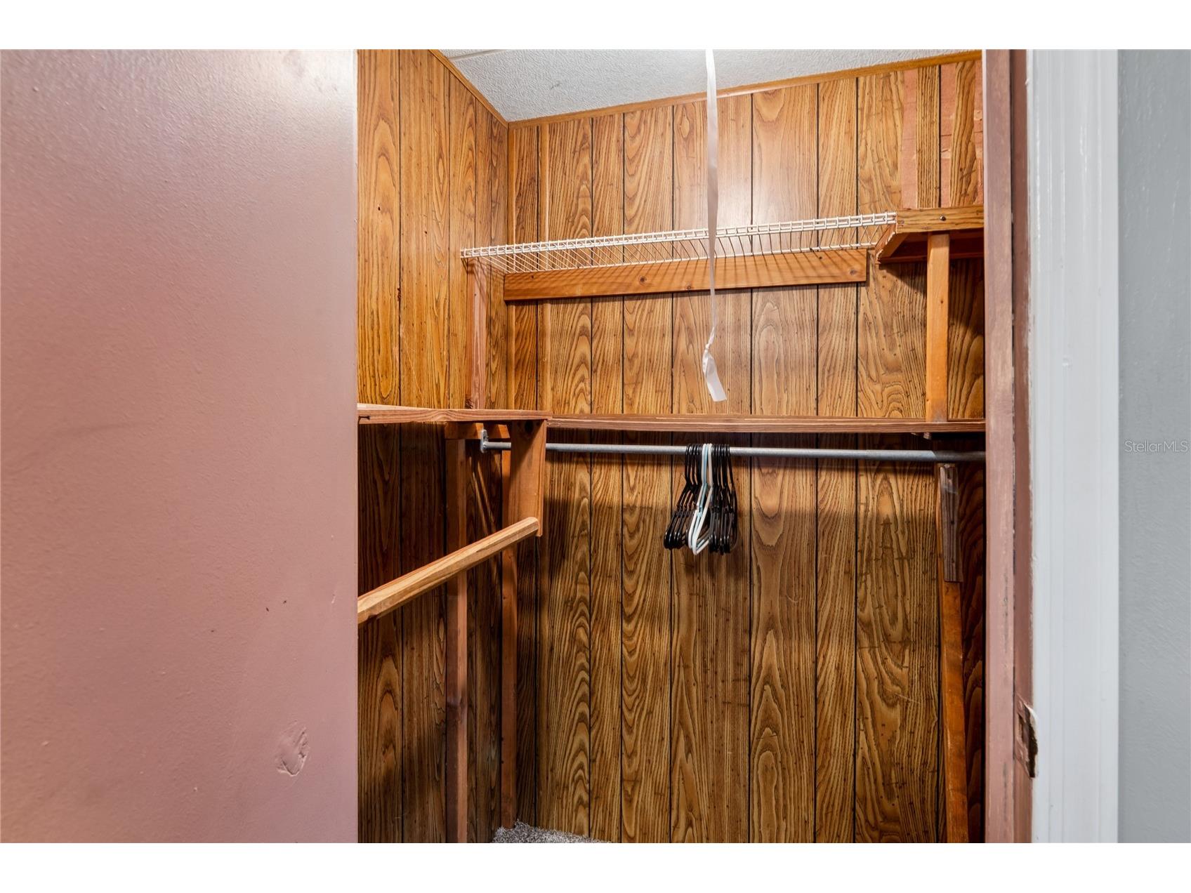 19514 Anton Road Land O Lakes FL 34638 W7887234 image14