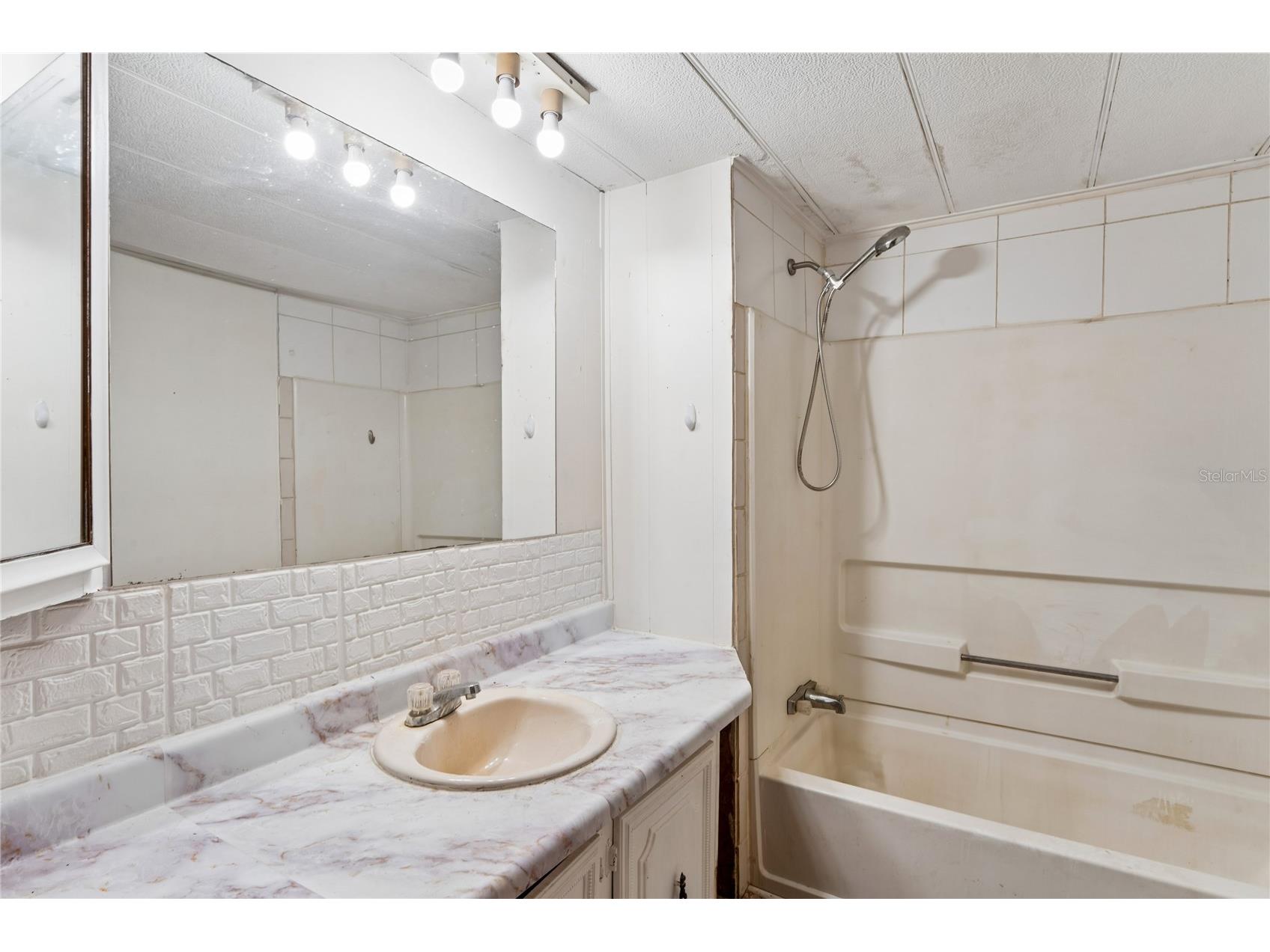 19514 Anton Road Land O Lakes FL 34638 W7887234 image15