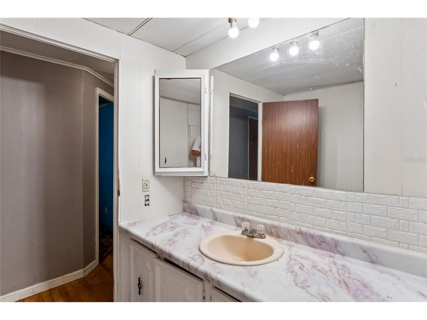 19514 Anton Road Land O Lakes FL 34638 W7887234 image16