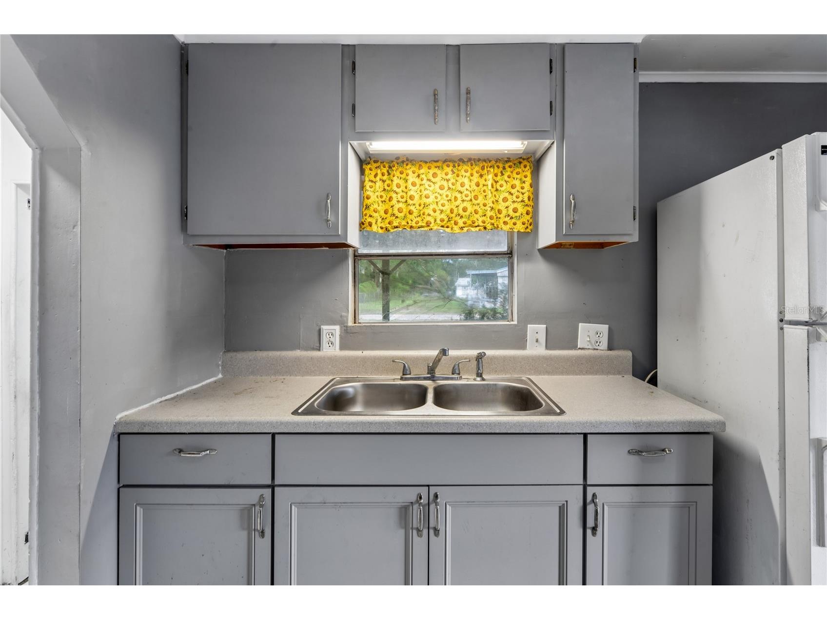 19514 Anton Road Land O Lakes FL 34638 W7887234 image9