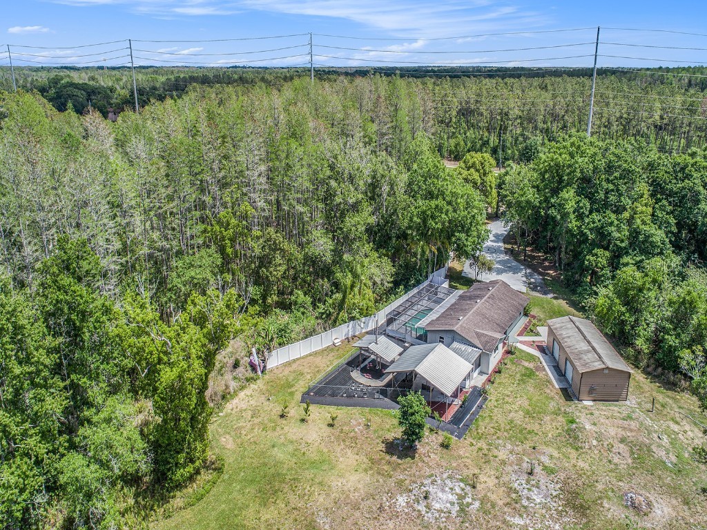 19514 N Dale Mabry Highway Lutz FL 33548 U8195818 image1