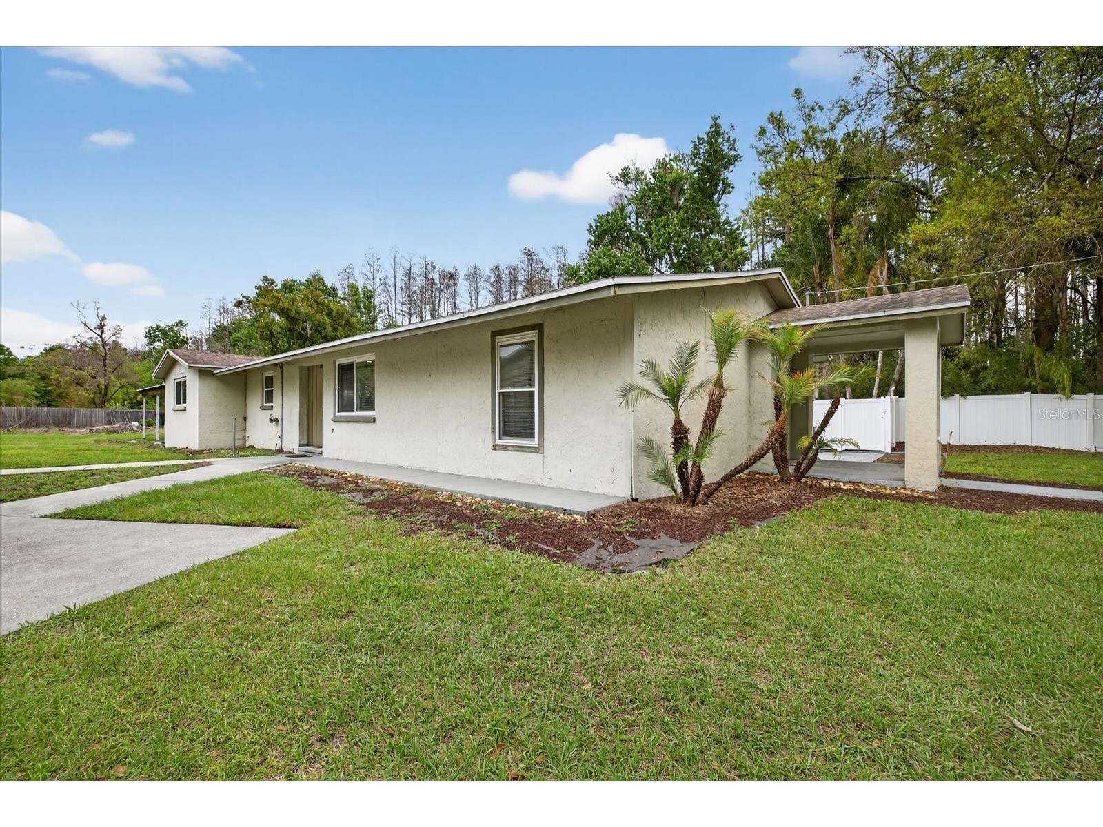 19514 N Dale Mabry Highway Lutz FL 33548 TB8484814 image2