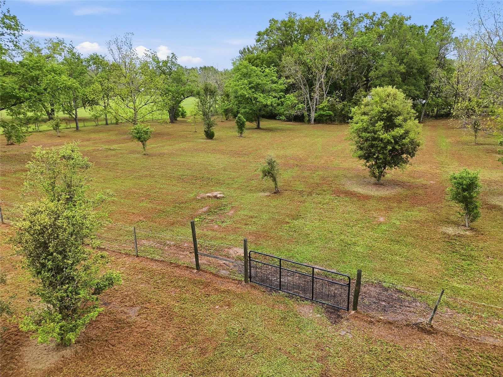 19518 NW 78th Avenue Alachua FL 32615 GC539295 image45