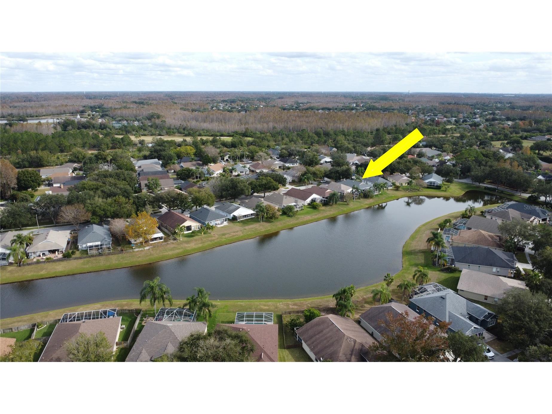 19519 Morden Blush Drive Lutz FL 33558 TB8453744 image12