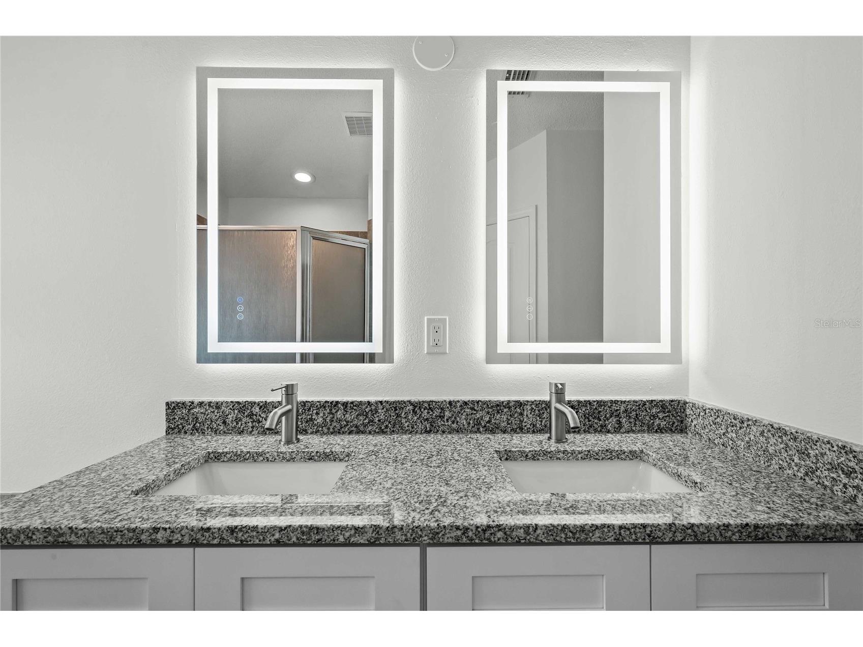 19519 Morden Blush Drive Lutz FL 33558 TB8453744 image19