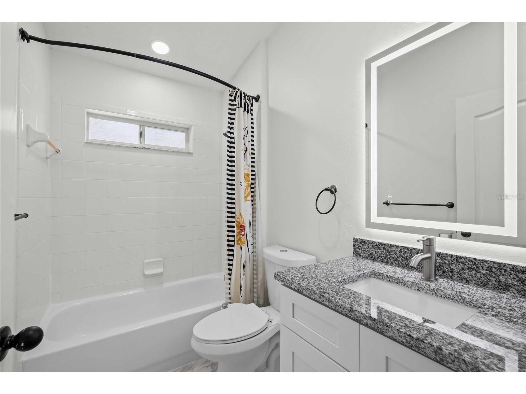 19519 Morden Blush Drive Lutz FL 33558 TB8453744 image21