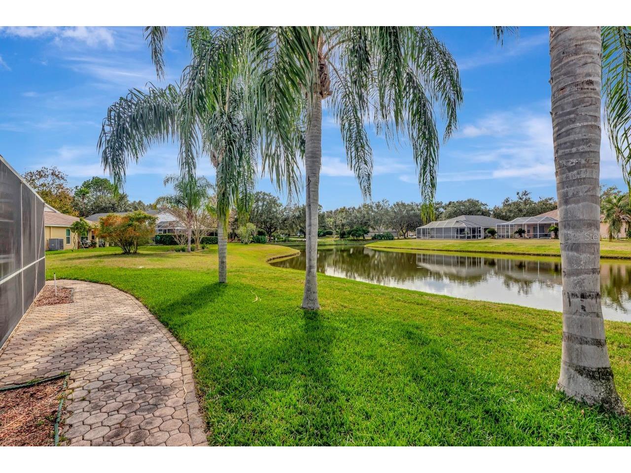 19519 Morden Blush Drive Lutz FL 33558 TB8453744 image30