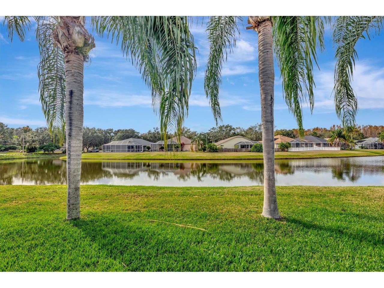 19519 Morden Blush Drive Lutz FL 33558 TB8453744 image32