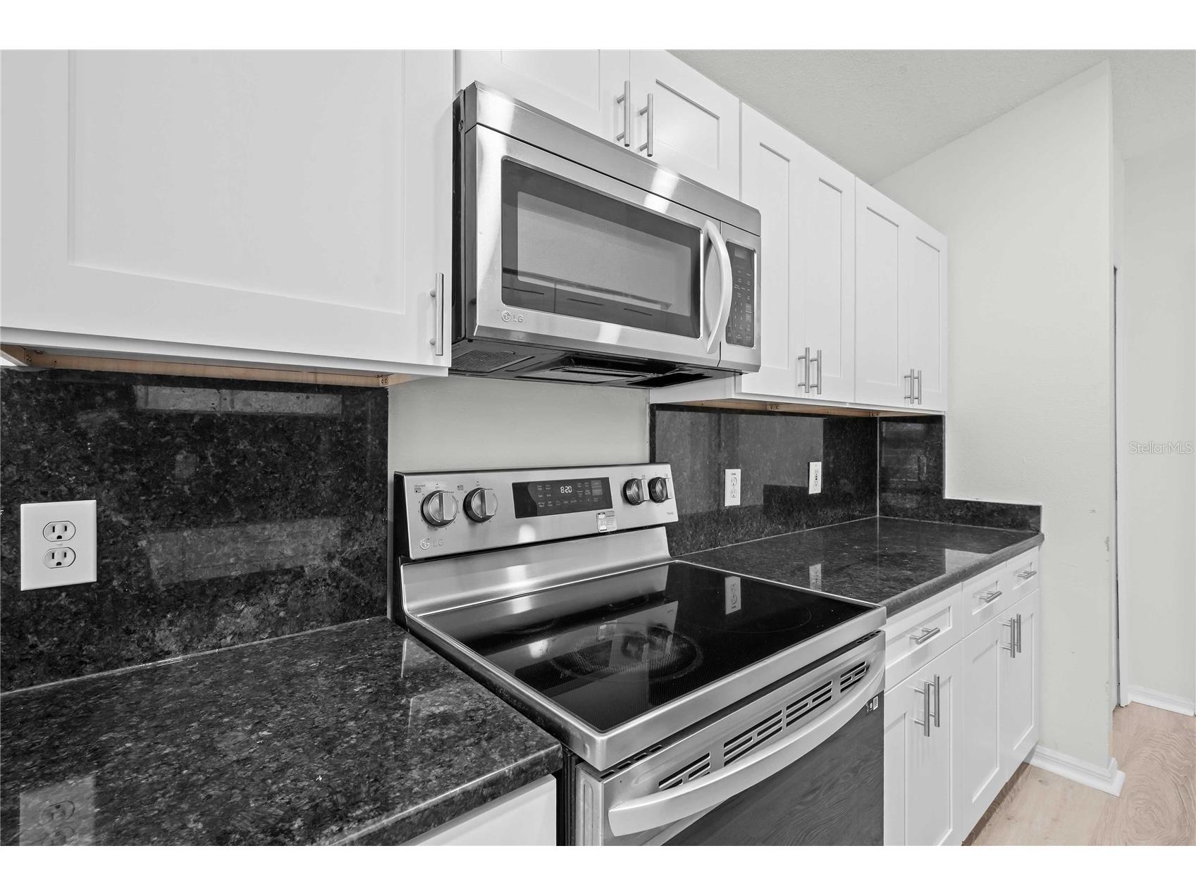 19519 Morden Blush Drive Lutz FL 33558 TB8453744 image40