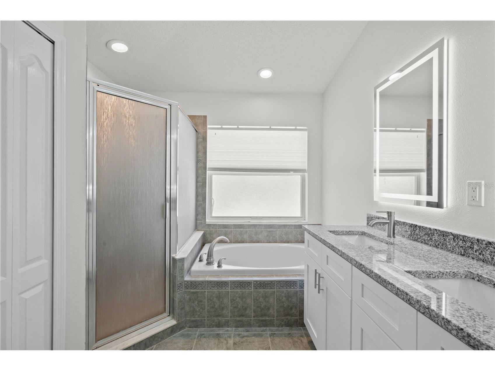 19519 Morden Blush Drive Lutz FL 33558 TB8453744 image44