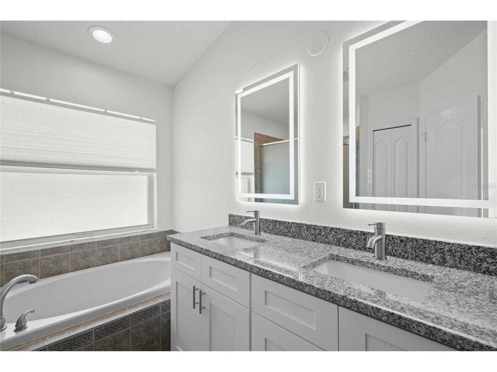 19519 Morden Blush Drive Lutz FL 33558 TB8453744 image45