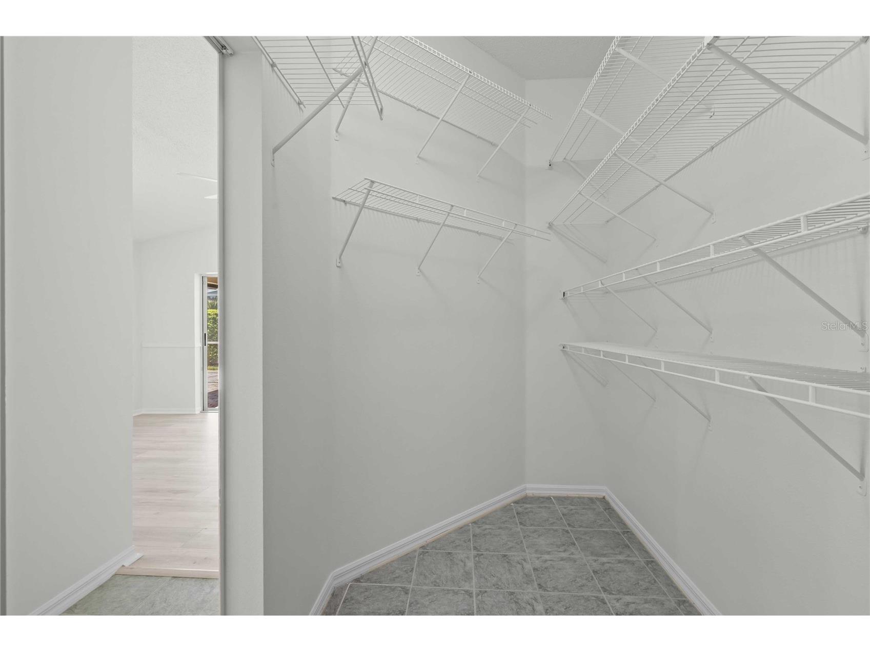 19519 Morden Blush Drive Lutz FL 33558 TB8453744 image46