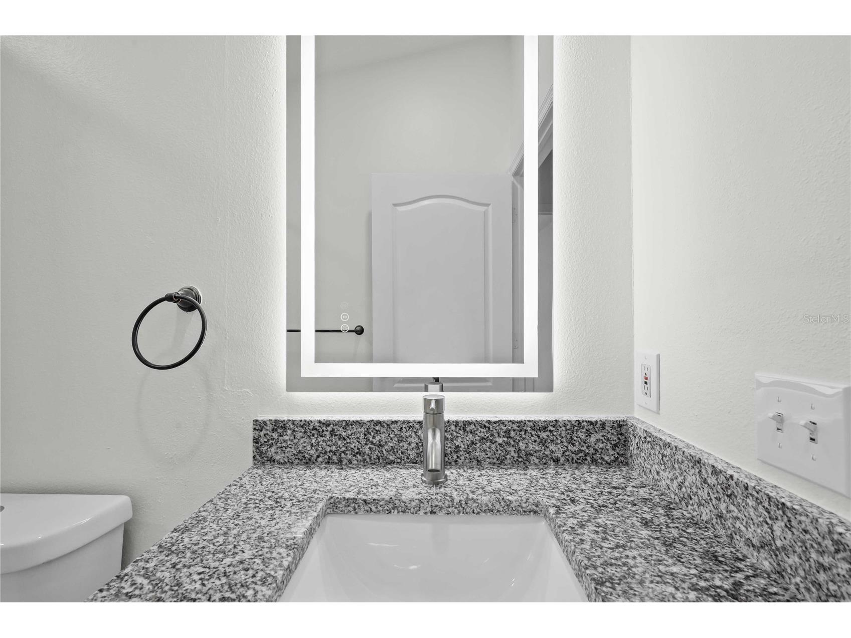 19519 Morden Blush Drive Lutz FL 33558 TB8453744 image49