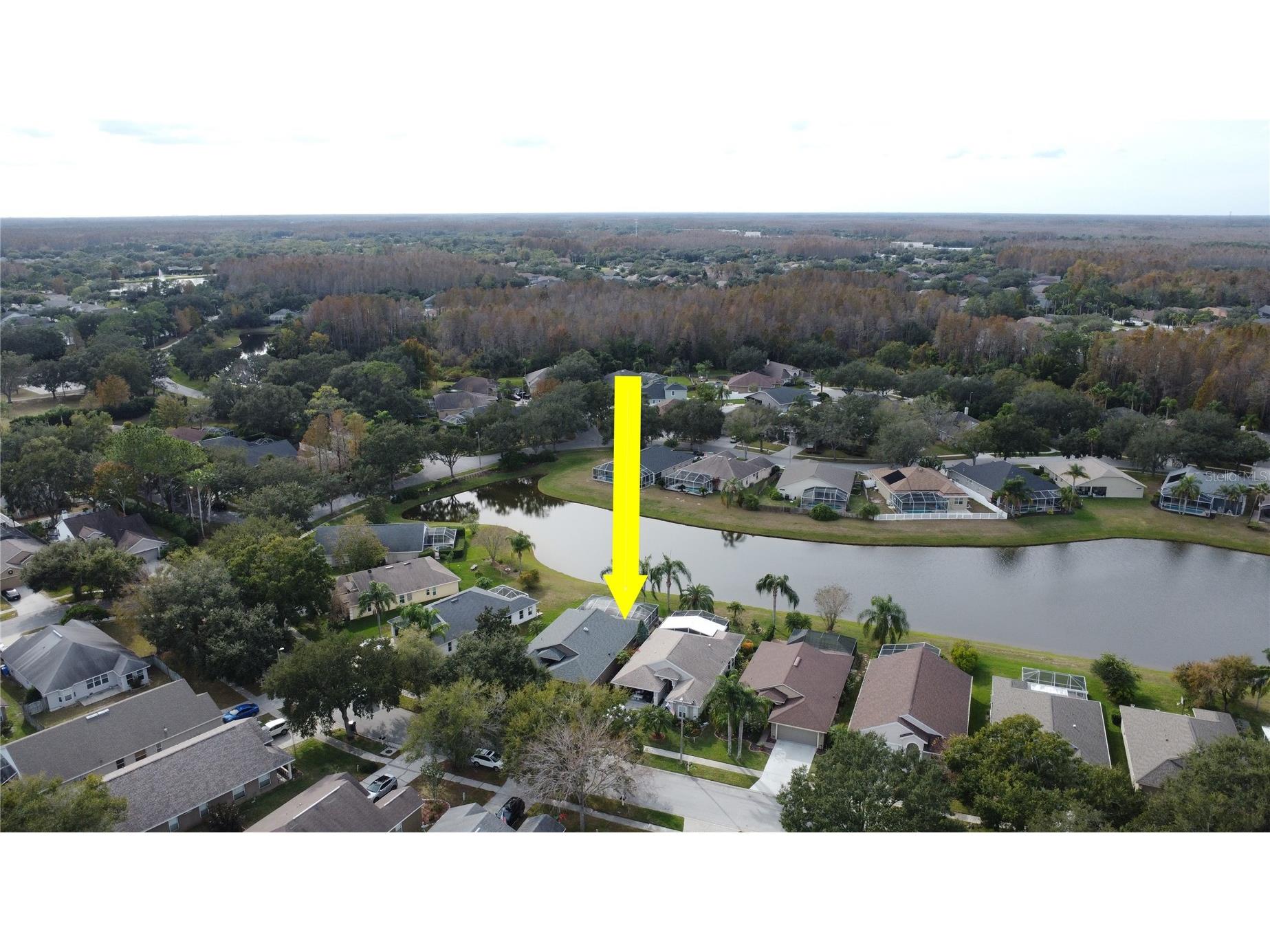 19519 Morden Blush Drive Lutz FL 33558 TB8453744 image52