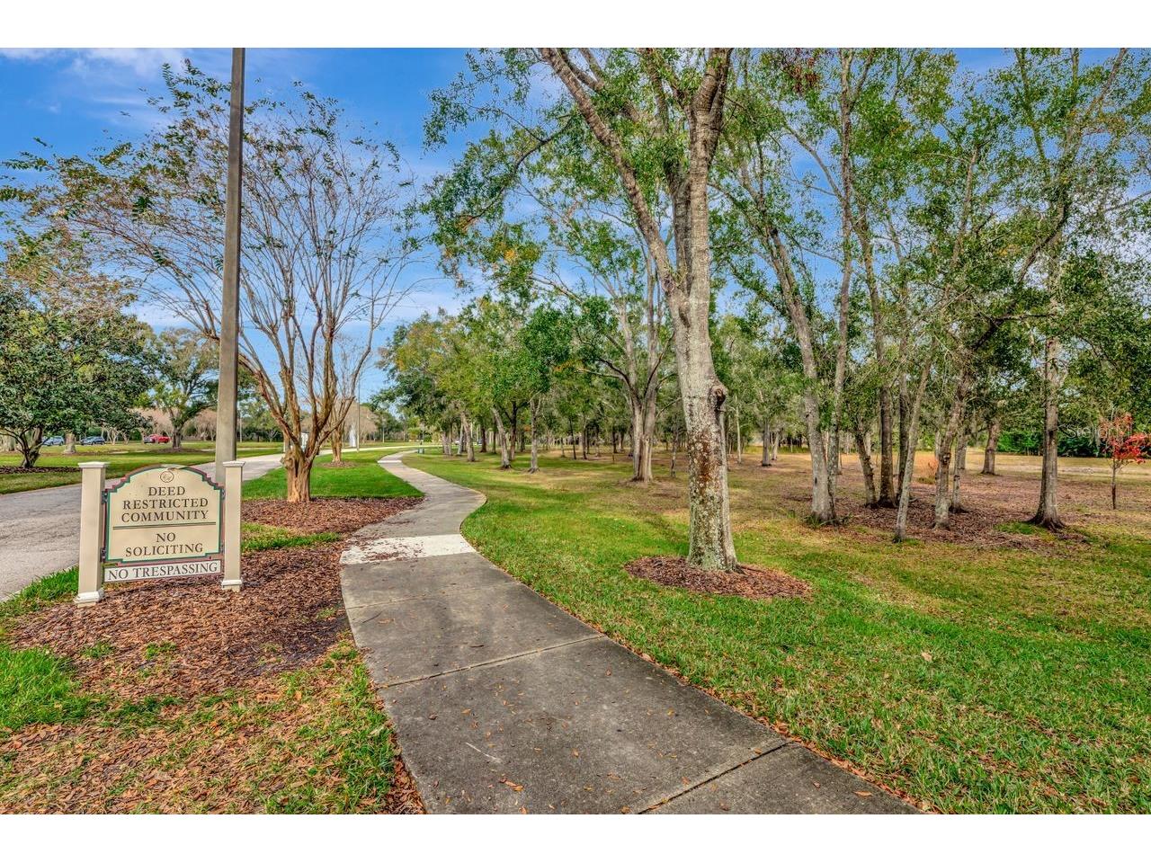 19519 Morden Blush Drive Lutz FL 33558 TB8453744 image54