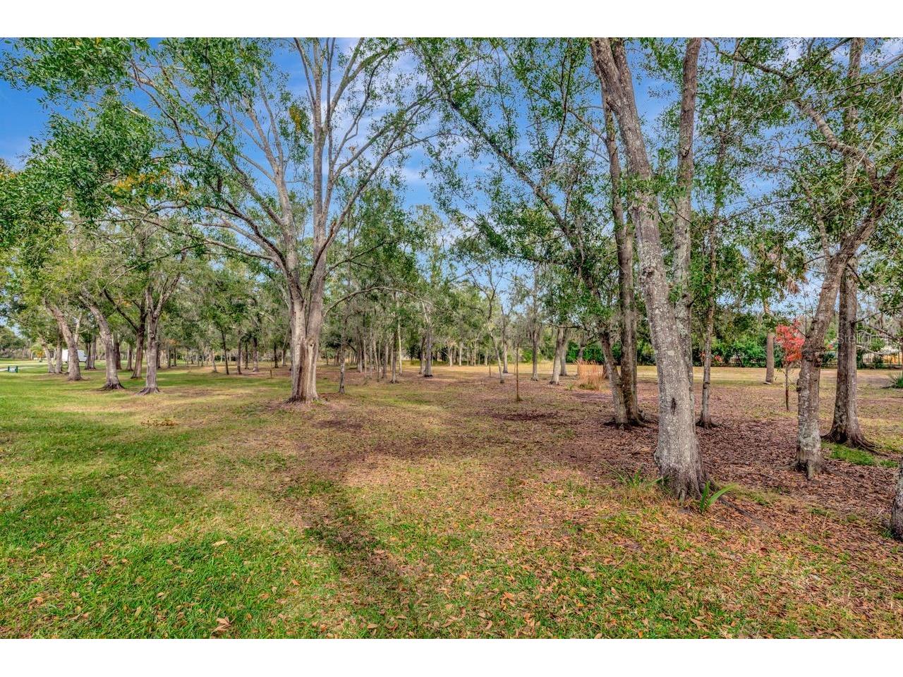 19519 Morden Blush Drive Lutz FL 33558 TB8453744 image55