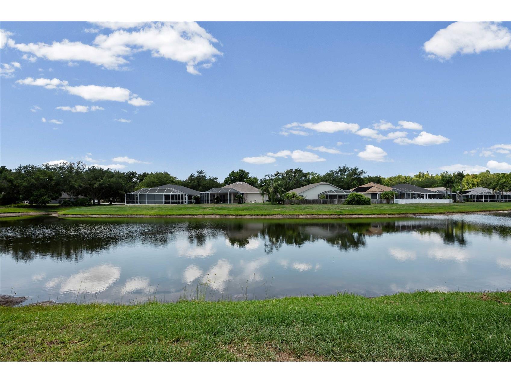 19519 Morden Blush Drive Lutz FL 33558 TB8453744 image57