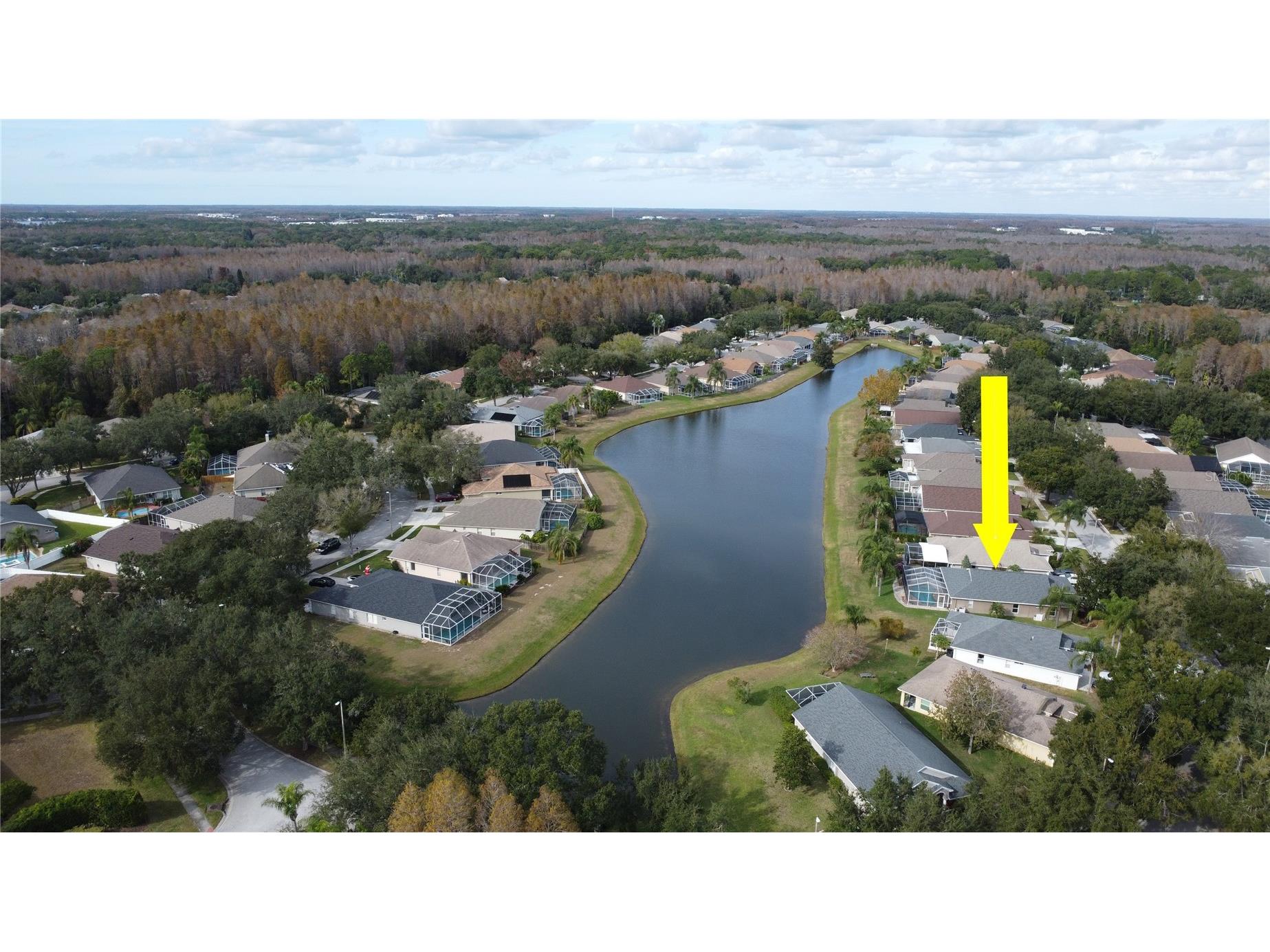 19519 Morden Blush Drive Lutz FL 33558 TB8453744 image59