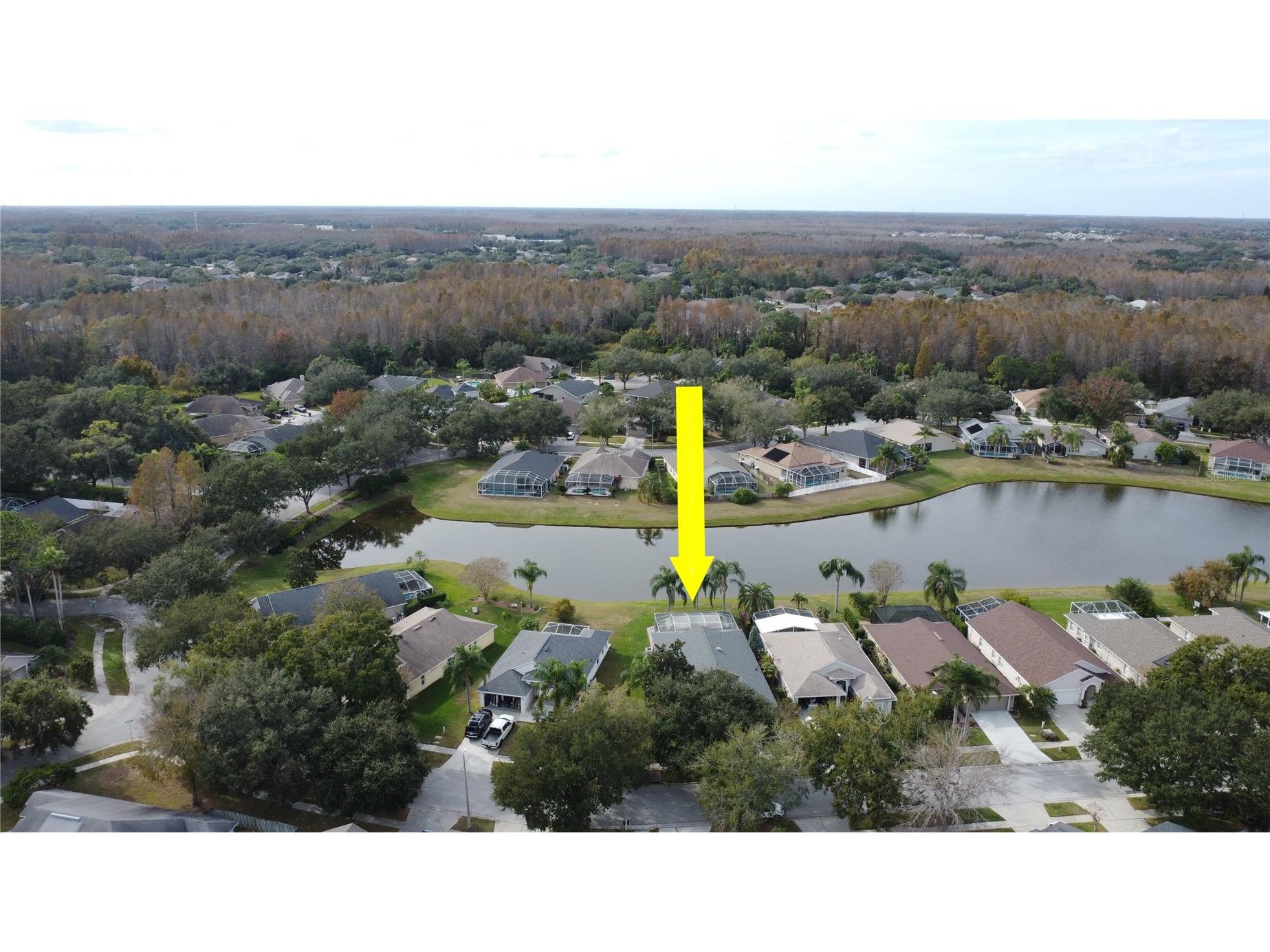 19519 Morden Blush Drive Lutz FL 33558 TB8453744 image60